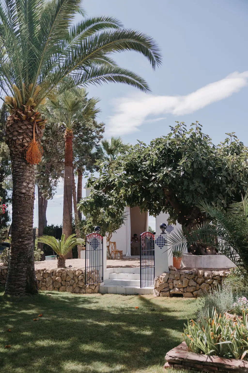 La higuera centenaria del jardín de Villa Paula